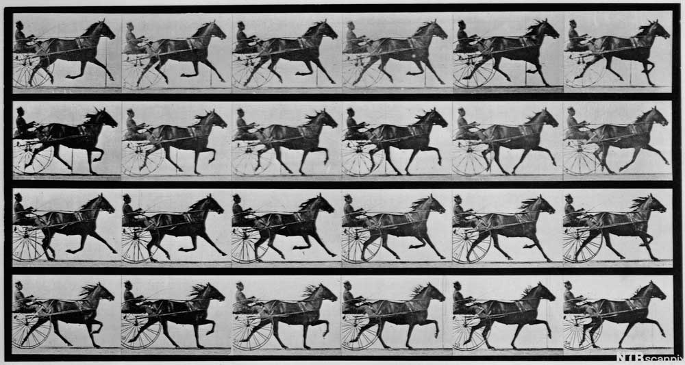 Bildeserie av Eadweard Muybridge